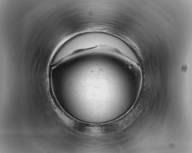 X0000099490792200805291106