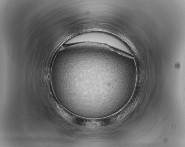 X0000099490793200805291106