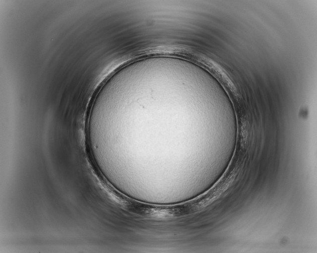 X0000099490794200805291106