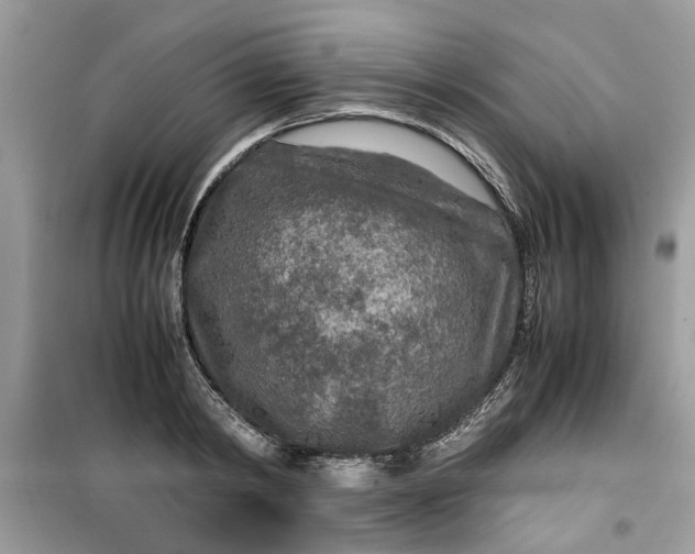 X0000099490798200805291106