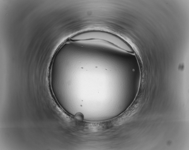 X0000099490799200805291106