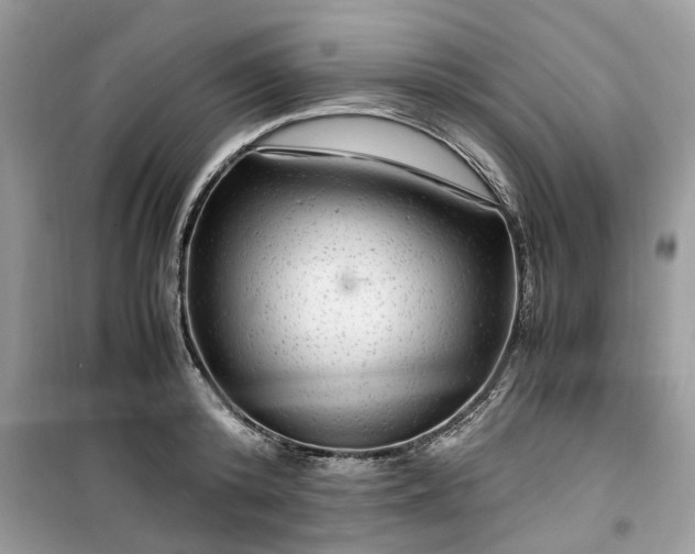 X0000099490800200805291106