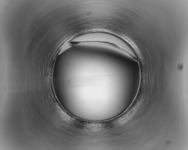 X0000099490801200805291106