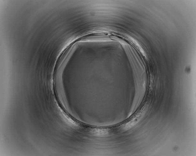 X0000099490802200805291106