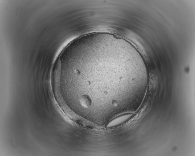 X0000099490804200805291106