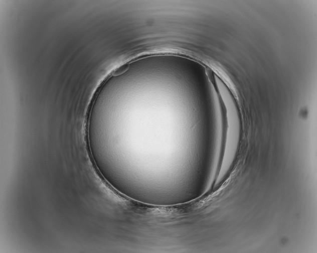 X0000099490805200805291106