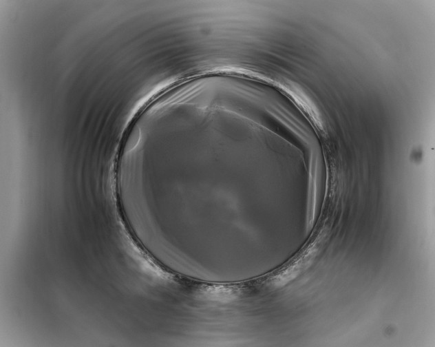 X0000099490806200805291106