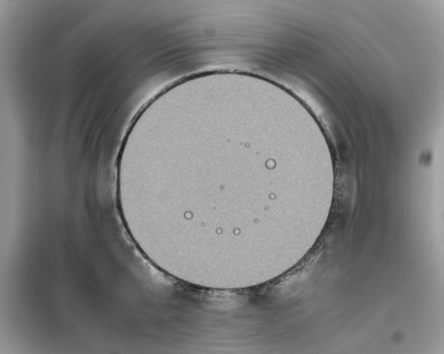 X0000099490807200805291106