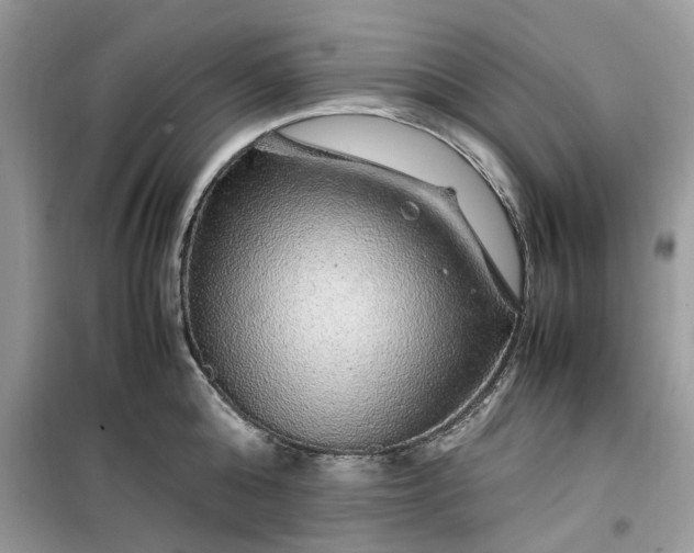 X0000099490808200805291106