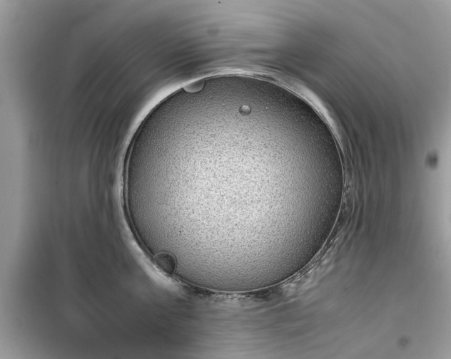 X0000099490811200805291105