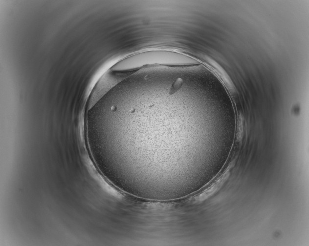 X0000099490812200805291105