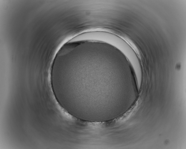 X0000099490813200805291105