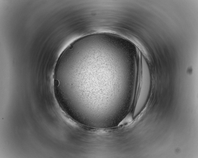 X0000099490814200805291105