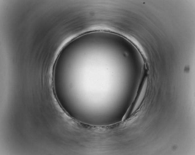 X0000099490815200805291105