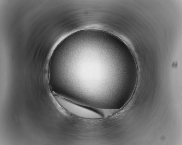 X0000099490816200805291105