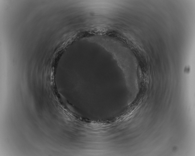 X0000099490818200805291105