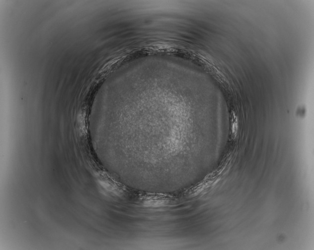 X0000099490819200805291105