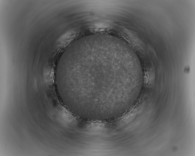 X0000099490820200805291105