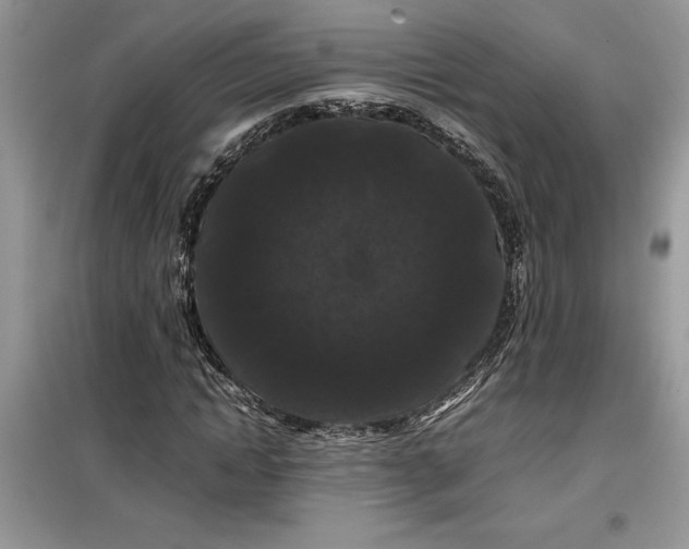 X0000099490822200805291105