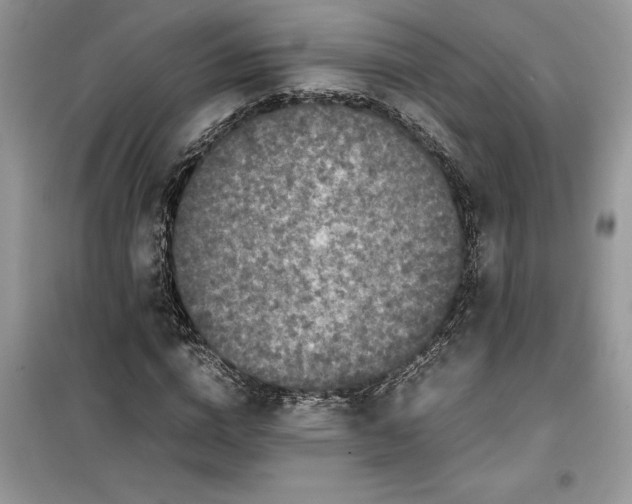 X0000099490824200805291105