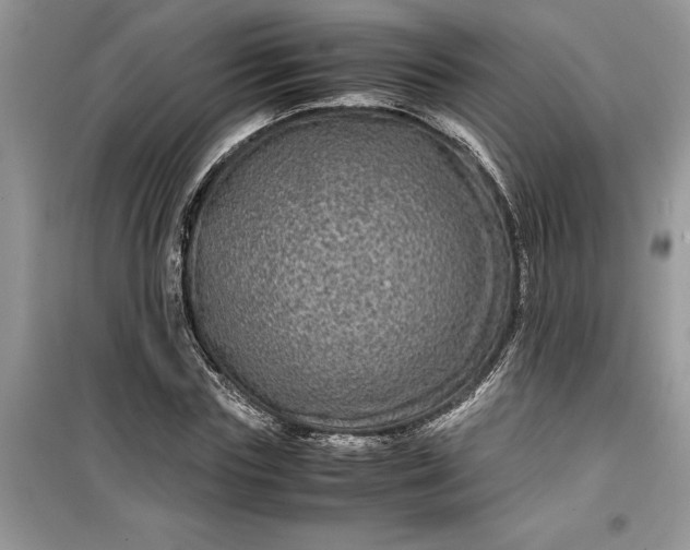 X0000099490827200805291105