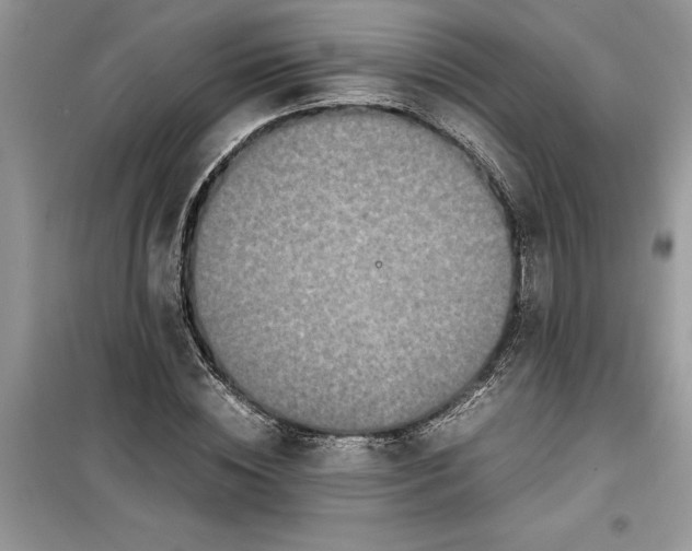 X0000099490828200805291105