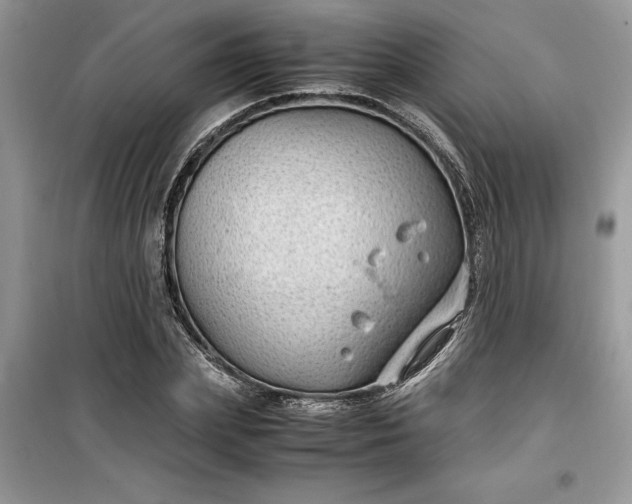 X0000099490831200805291105