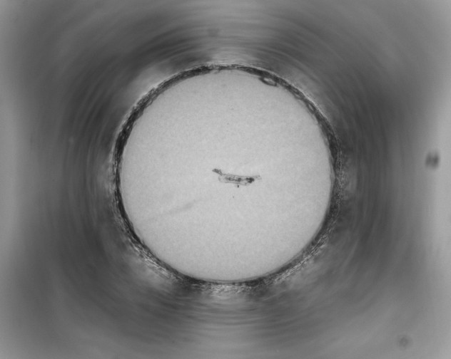 X0000099490832200805291105