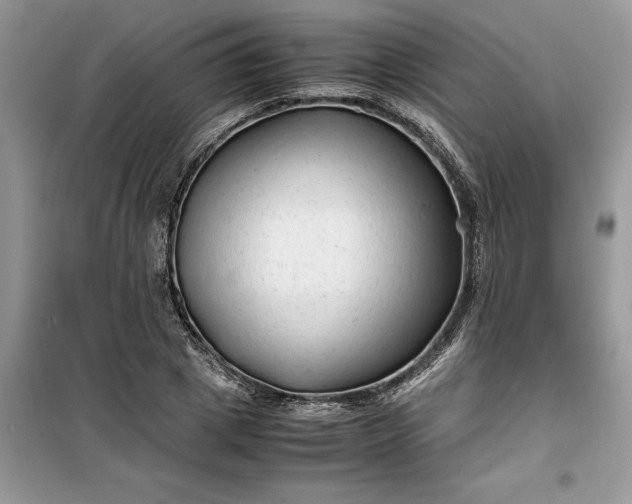 X0000099490833200805291105