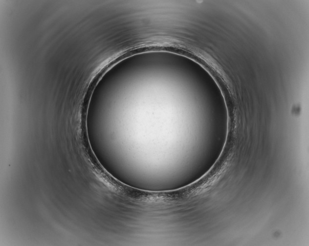 X0000099490834200805291105