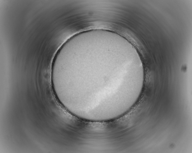 X0000099490836200805291105