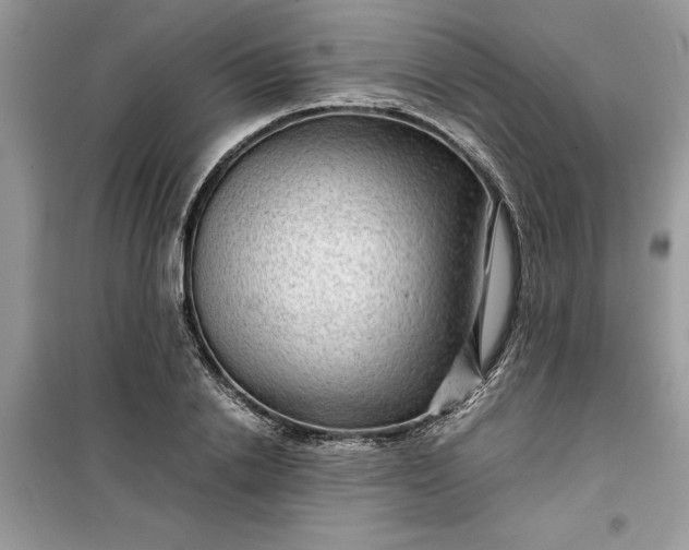 X0000099490838200805291105