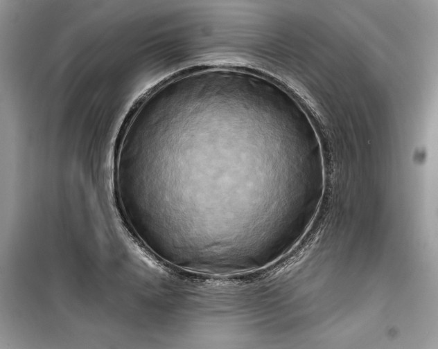 X0000099490840200805291105