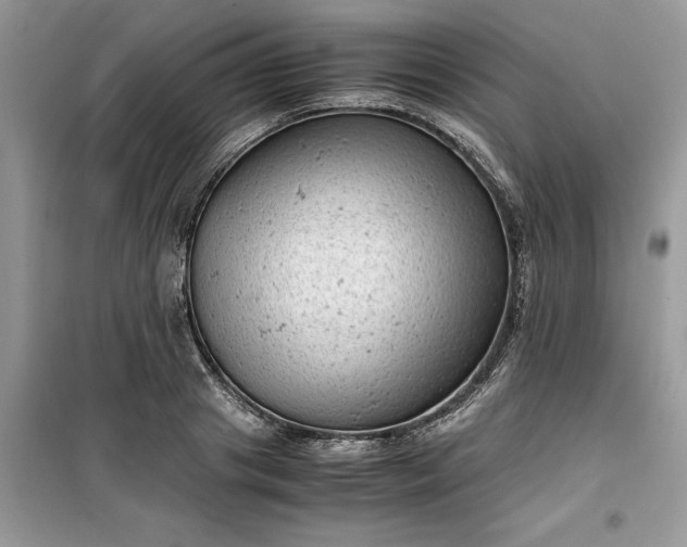 X0000099490841200805291105