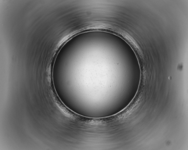 X0000099490842200805291105