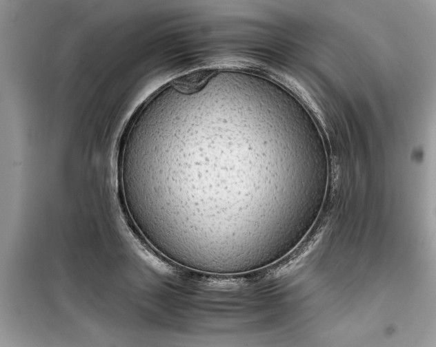 X0000099490843200805291105