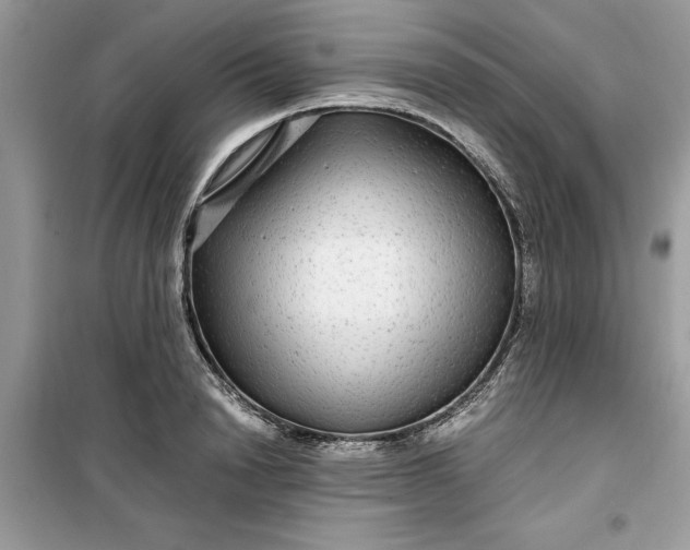 X0000099490846200805291105