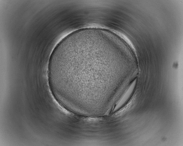 X0000099490847200805291105