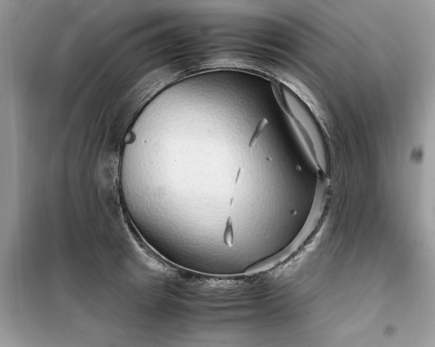 X0000099490849200805291105