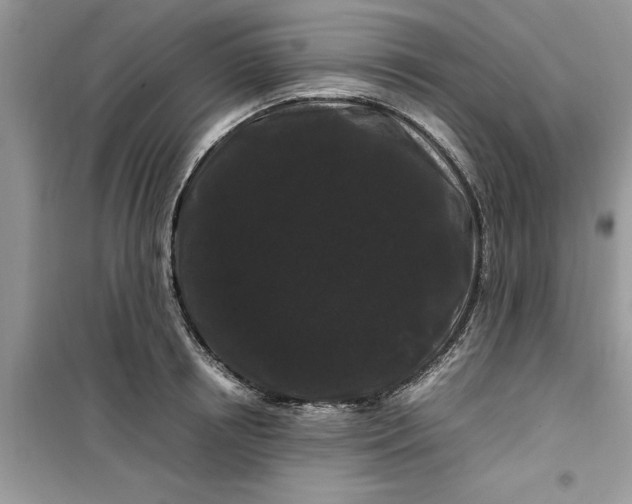 X0000099490850200805291105