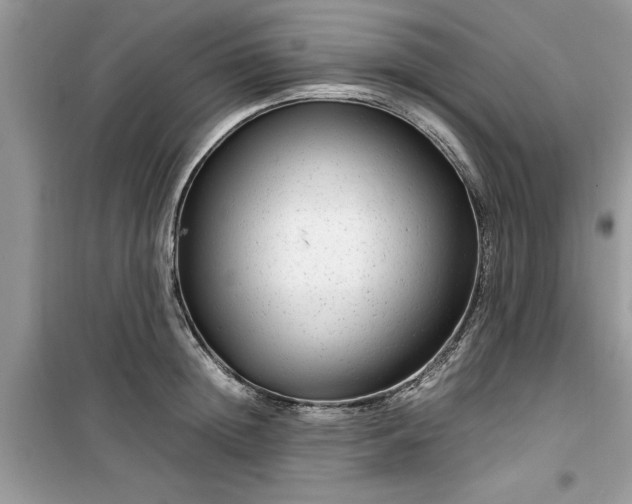 X0000099490852200805291105