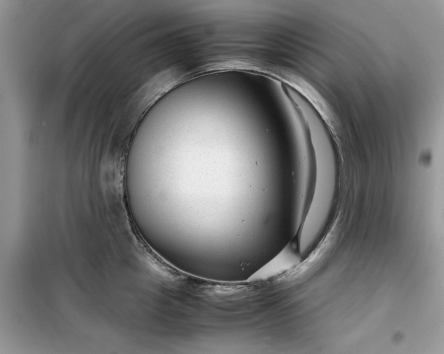 X0000099490857200805291105