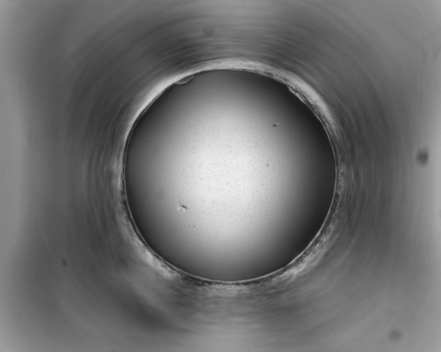 X0000099490860200805291105