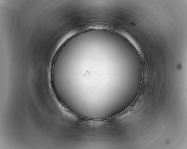 X0000099490861200805291105