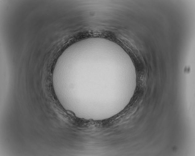 X0000099490865200805291105