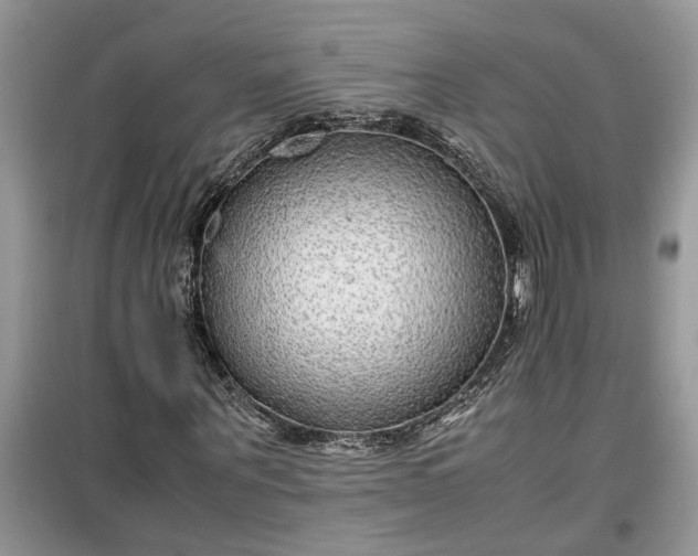 X0000099490867200805291105