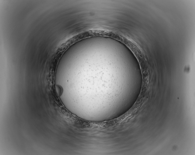 X0000099490870200805291105