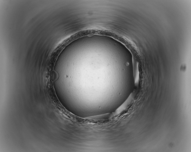 X0000099490872200805291105