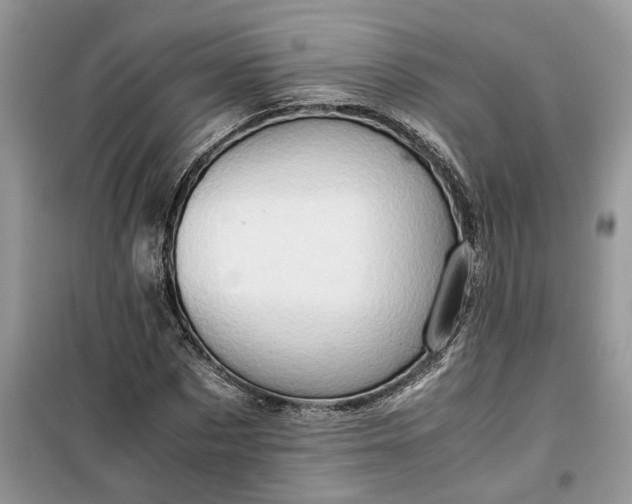 X0000099490873200805291105