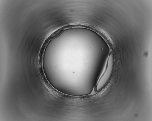 X0000099490876200805291105